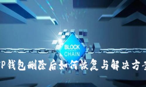 TP钱包删除后如何恢复与解决方案